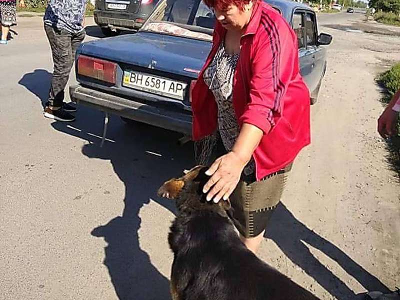 На Винничине собаку привязали цепью к такси и тащили через весь город. Фото На Винничине собаку привязали цепью к такси и тащили через весь город. Фото